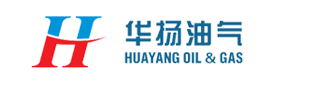 山東圣鐸鏈傳動(dòng)有限公司